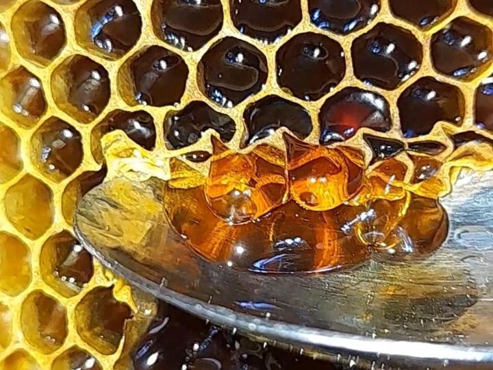 Përmet Honey-House “Kastrioti” 아파트 외부 사진