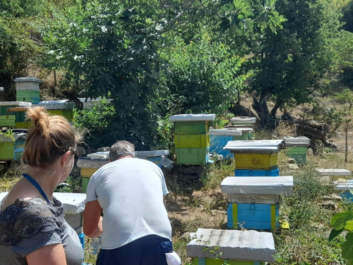 Përmet Honey-House “Kastrioti” 아파트 외부 사진