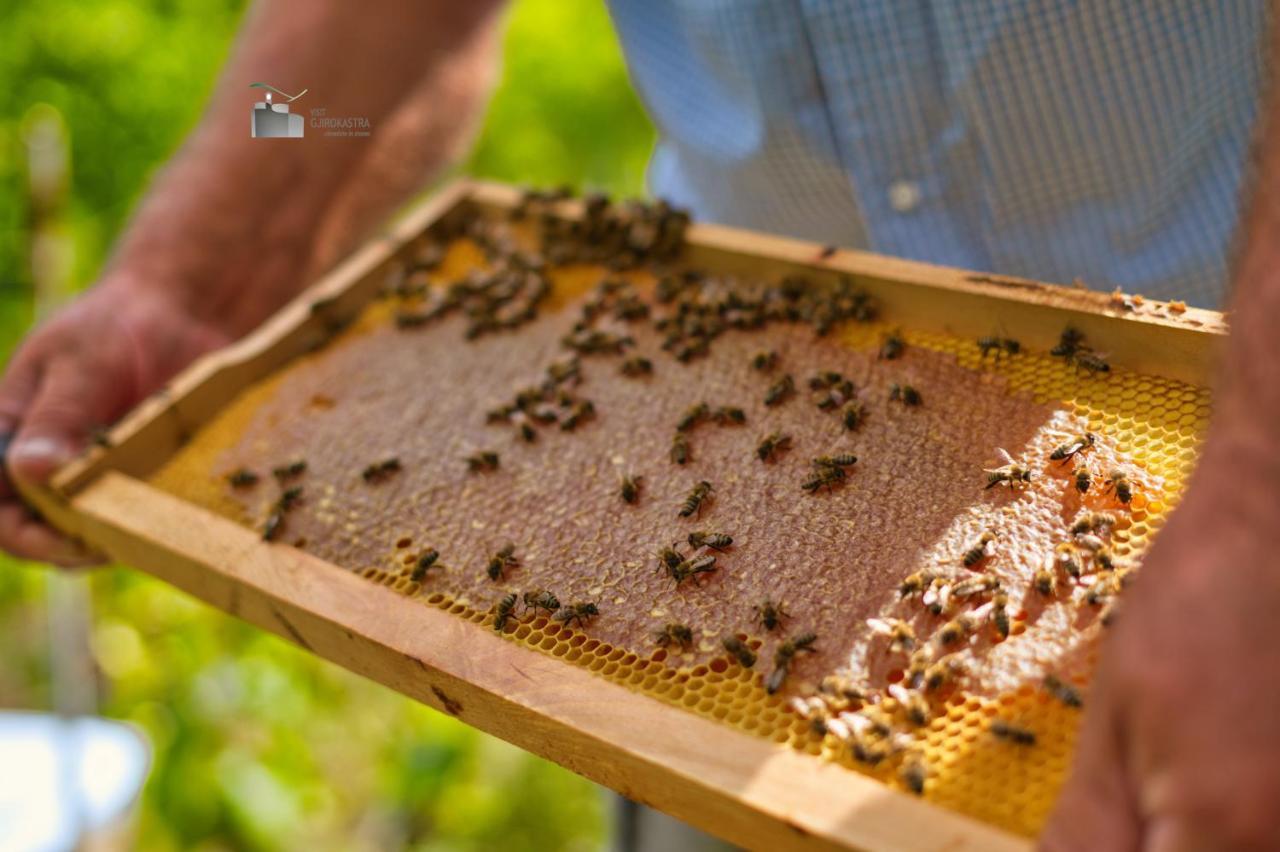 Përmet Honey-House “Kastrioti” 아파트 외부 사진